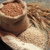 Organic Cereals & Grains (17)