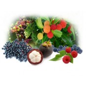 Organic Fruit Powder (6)