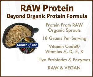 Garden of Life Raw Organic Protein Vanilla