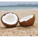 Barlean's Organic Extra Virgin Coconut Oil