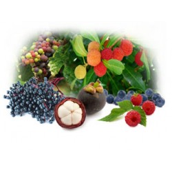 Organic Fruit Powder